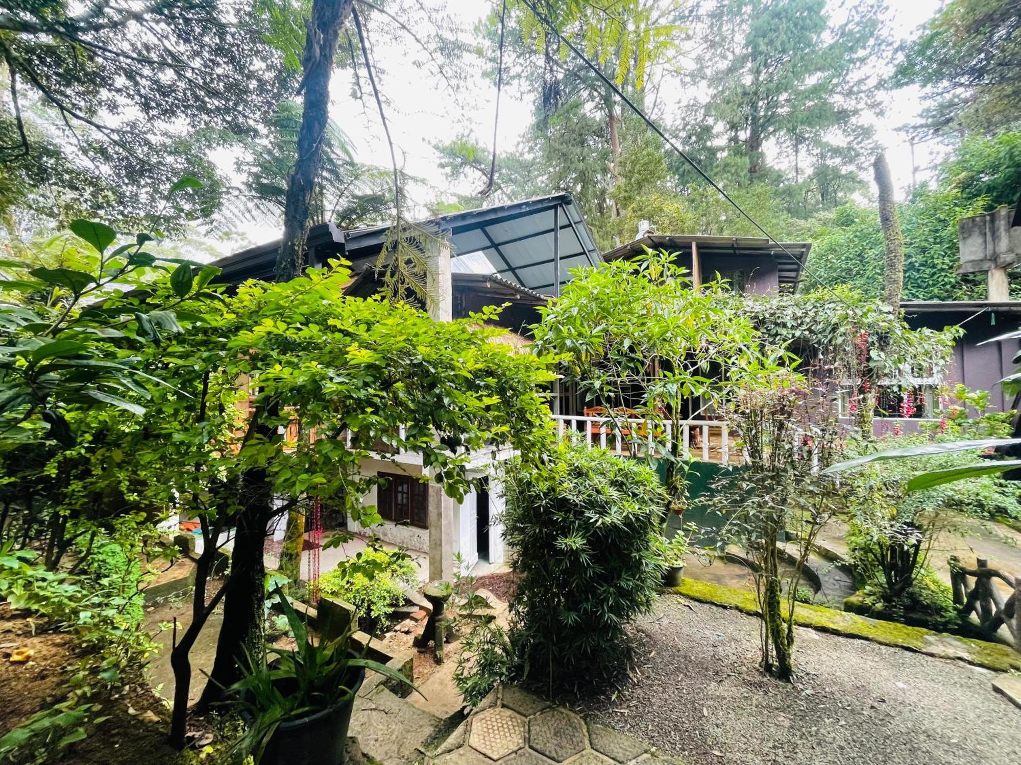 King Fern Cottage Nuwara Eliya Exterior foto