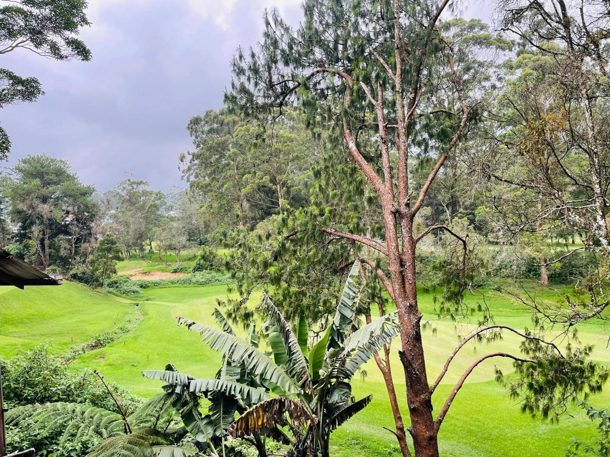 King Fern Cottage Nuwara Eliya Exterior foto